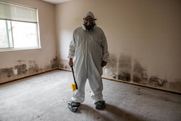 Best Office Mold Removal Services  in Edisto, SC